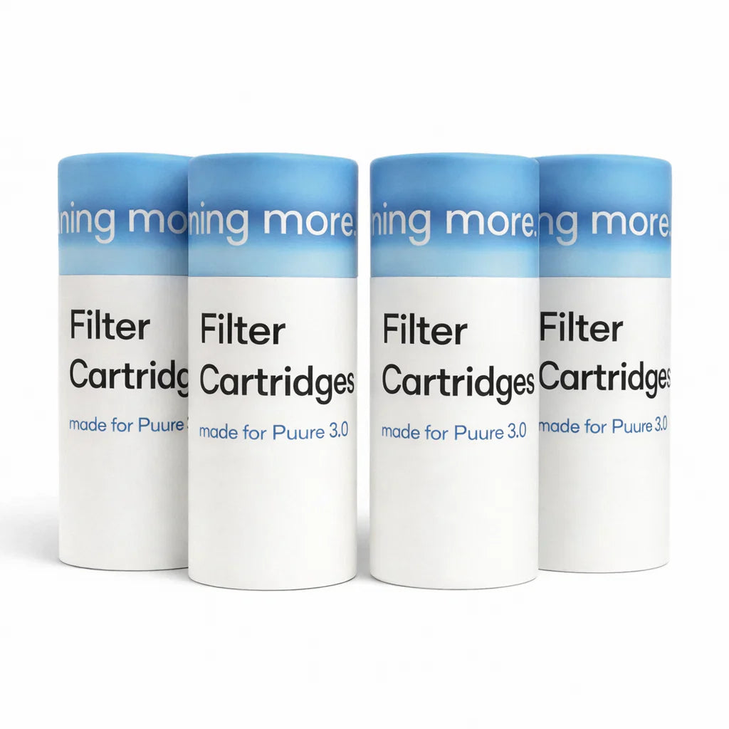 4 Filters (12 month supply)